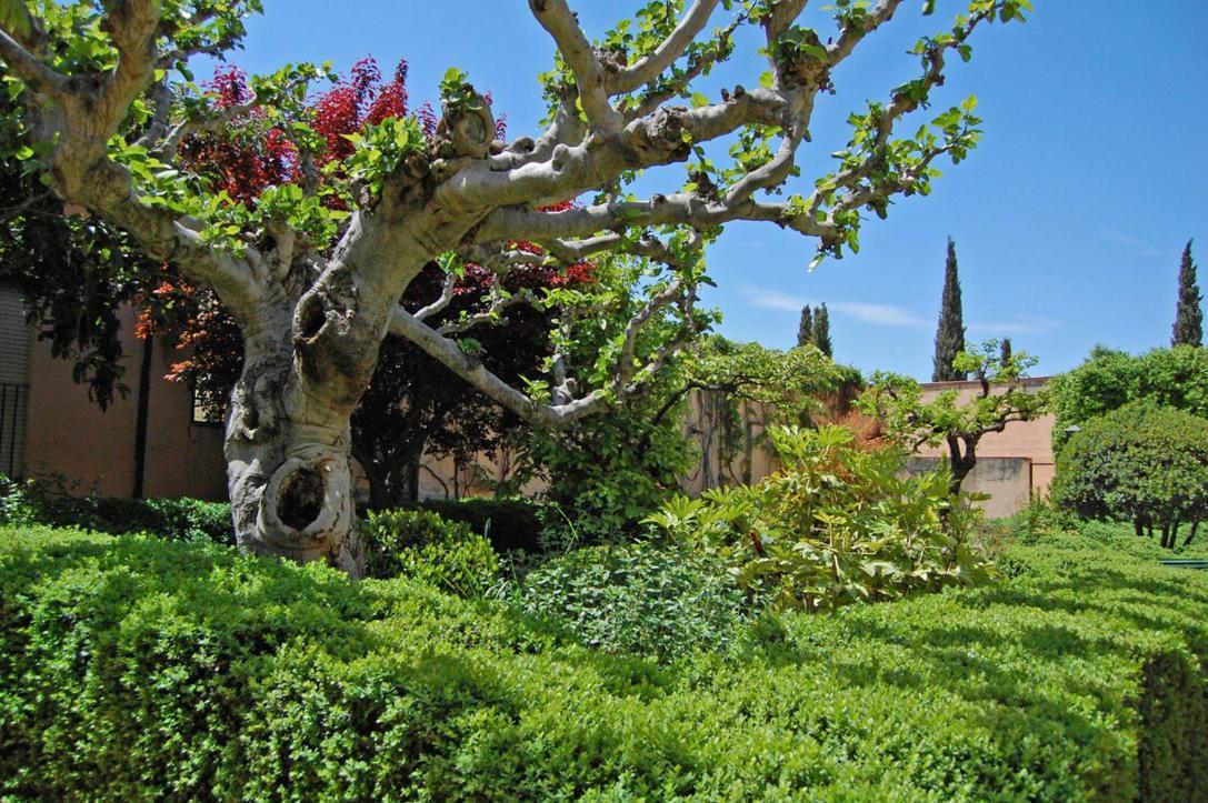 Un Vergel Al Pie De La Alhambra. Enjoy It Now!! Granada Bagian luar foto